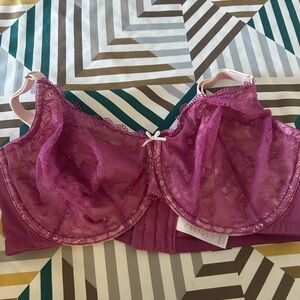 Cacique Women's Lace Bra - Pink size 42DDD